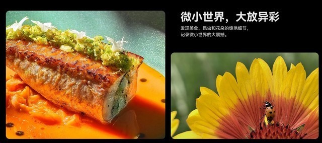 华为Mate60 15个超酷体验?难怪花粉不离不弃