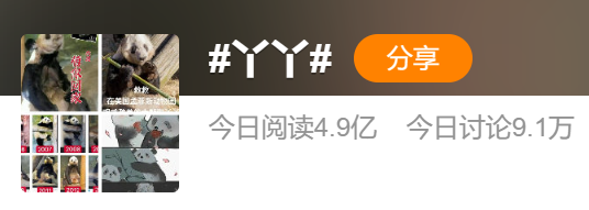 这两天大熊猫频上热搜,一方面,多只旅日大熊猫接连回国。