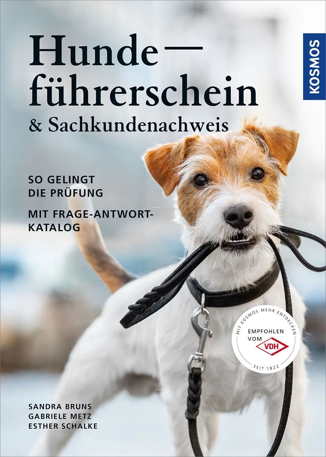 〓 在德国，养狗需要进行考试，取得执照
