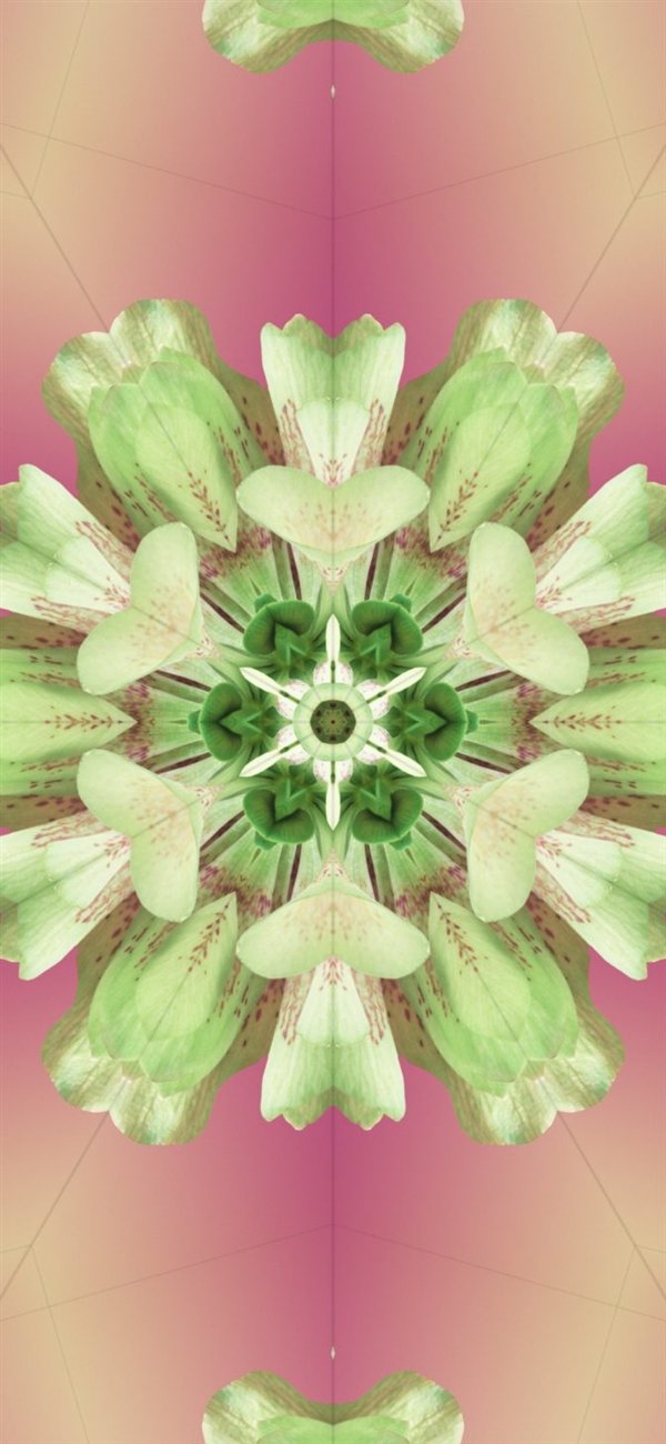 提前感受iPhone 15!iOS 17全新壁纸免费下载