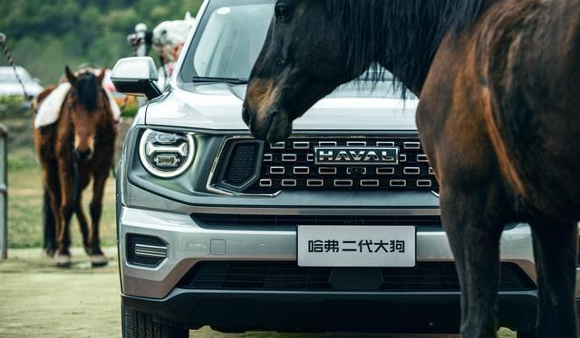 力量美学智慧越野哈弗二代大狗带你领略山河