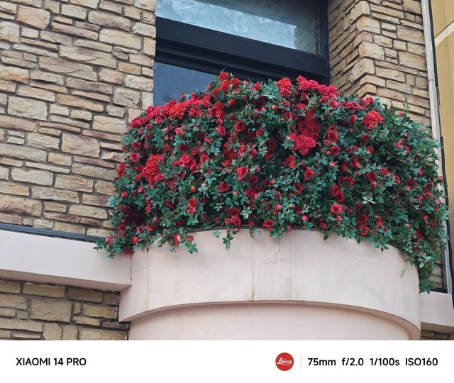 光影猎人能否掌控全场? 小米14 Pro对战5大影像旗舰