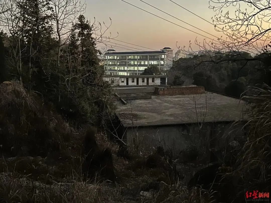 ▲从金鸡山上可以看到致远中学。图片来源:红星新闻