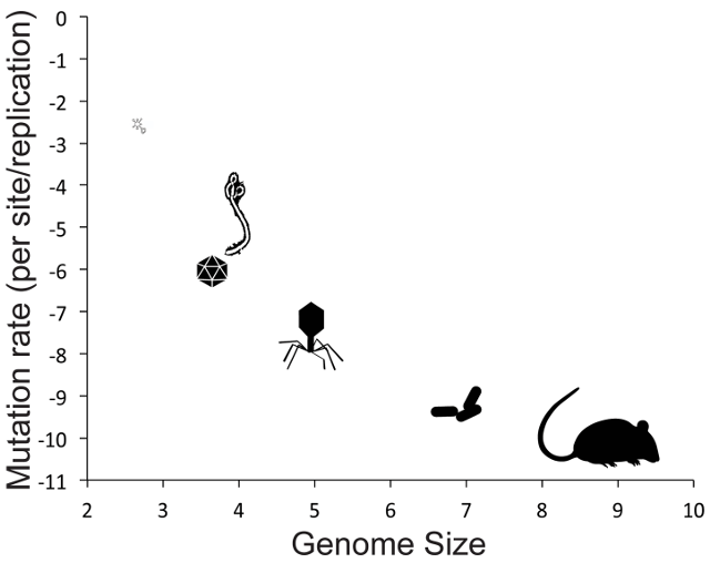 病毒学家张永振:未来5年还会不会出现新发突发传染病?可能规模不会像新冠这么大,但出现是必然