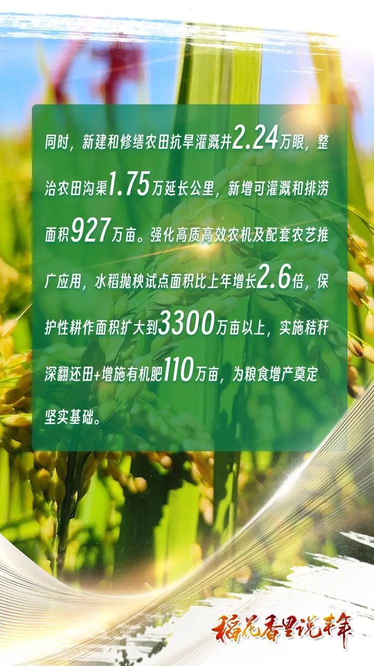 稻花香里说丰年丨吉林省再迎大丰收！粮食总产量预计850亿斤左右！