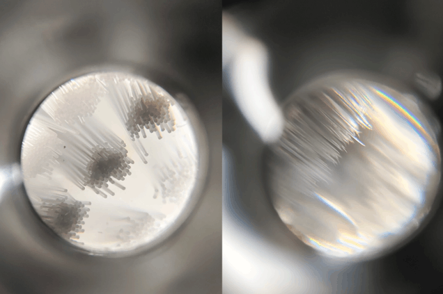 徕芬也出电动牙刷了?不是这几种人还是别买的为好