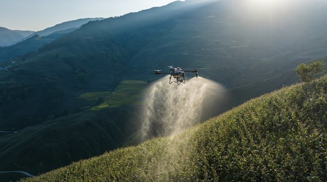 大疆农业发布T60、T25P 农业无人飞机,作业多场景, 场场都出色