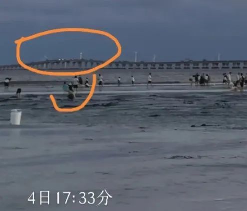 〓 图源:@黄元芯的父亲