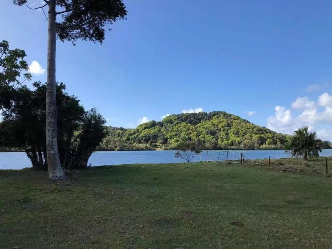 高先生在澳大利亚的河岛(受访者供图)