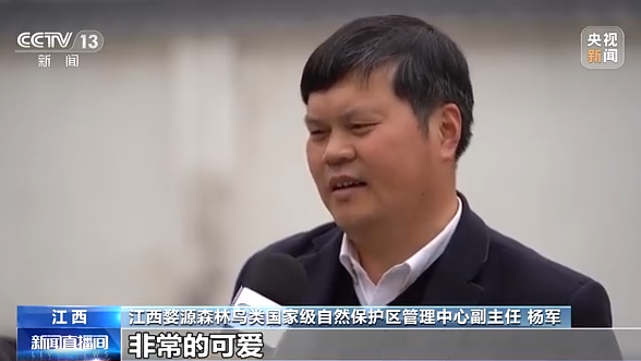 大美中国 候鸟北归丨看白鹤归来“熊猫鸟”捕食尽显霸气