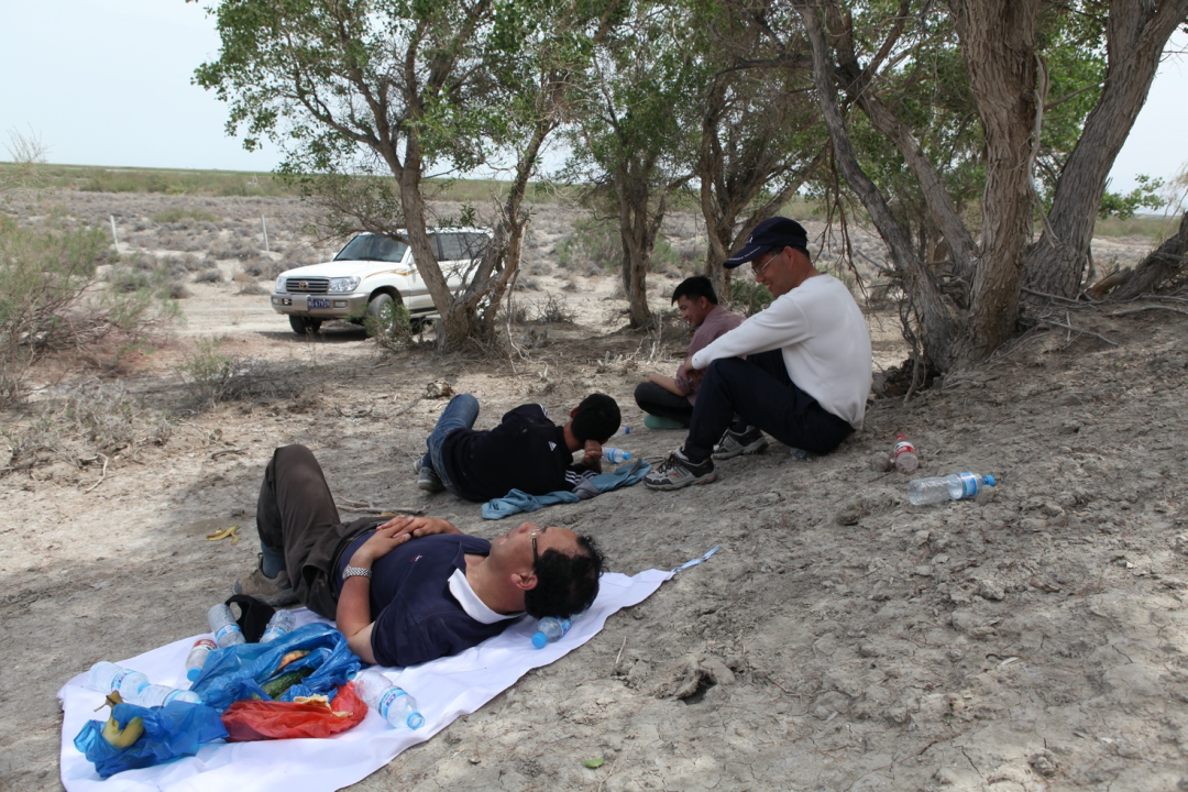 新疆野外荒漠戈壁滩采样午间休息 / 受访者供图