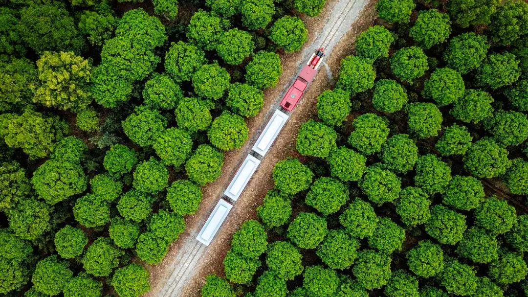 △位于浙江宁波奉化的滕头村,是全国首个村域5A级景区。