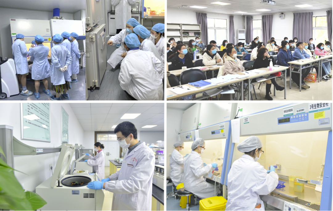▲ 科研人员在中南医院医学科学研究中心接受实验培训和理论培训