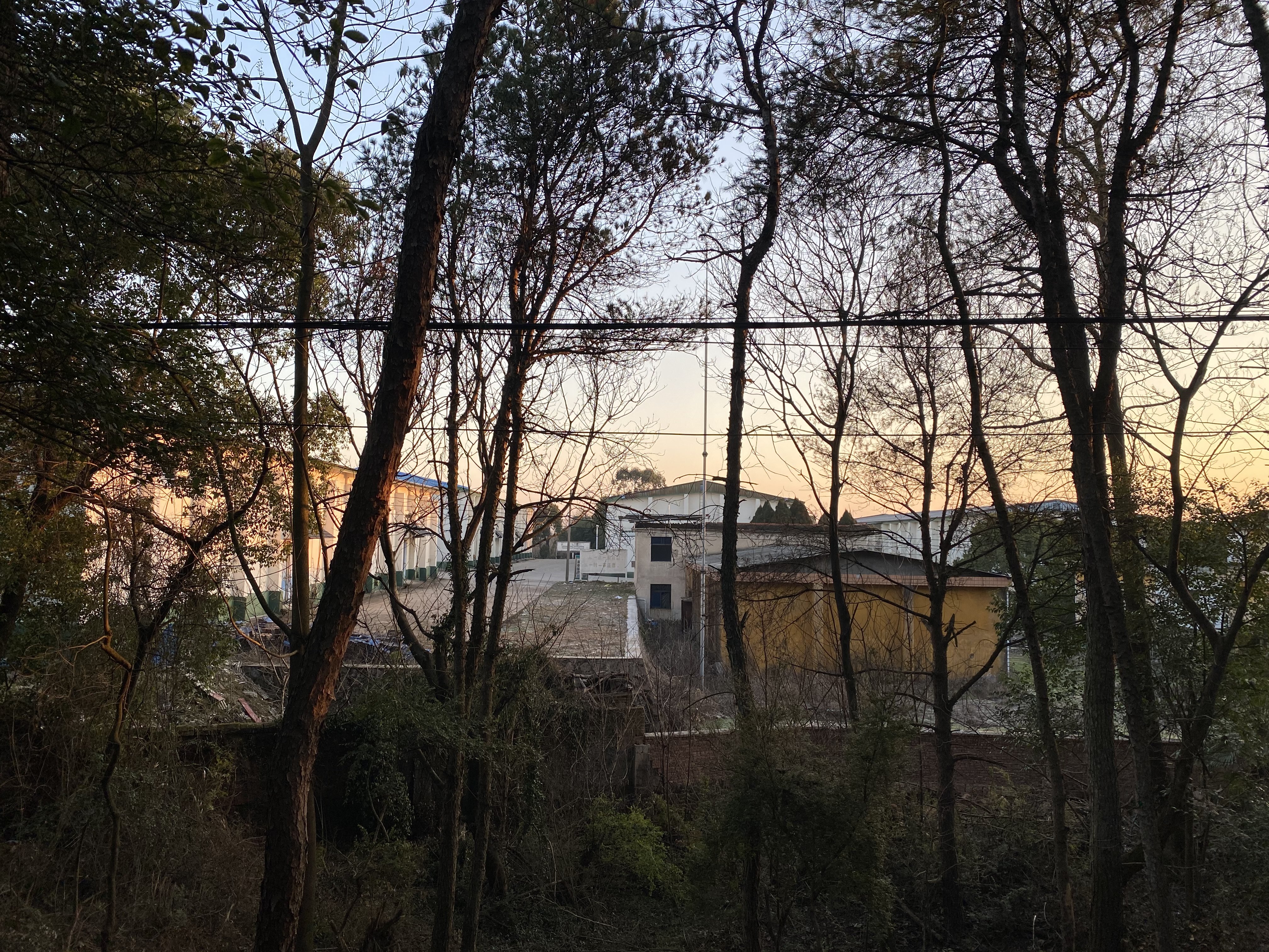 在金鸡山区域内的粮库院中发现了胡鑫宇遗体。