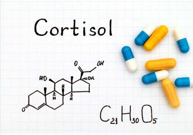 皮质醇的分子结构丨图源：图虫创意