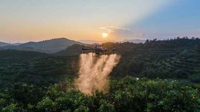 大疆农业发布T60、T25P 农业无人飞机,作业多场景, 场场都出色