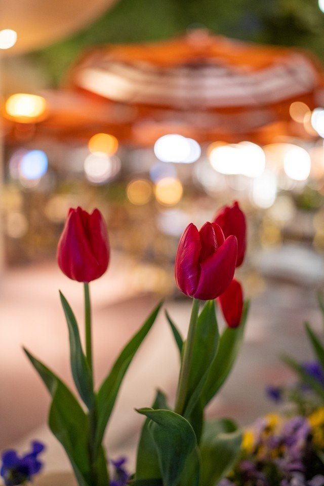 【有料评测】永诺YN35mm F2Z DF DSM评测:1799元国产全画幅自动对焦镜头