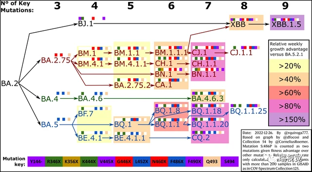 图为新冠进化路线图|图源Rodrigo Quiroga