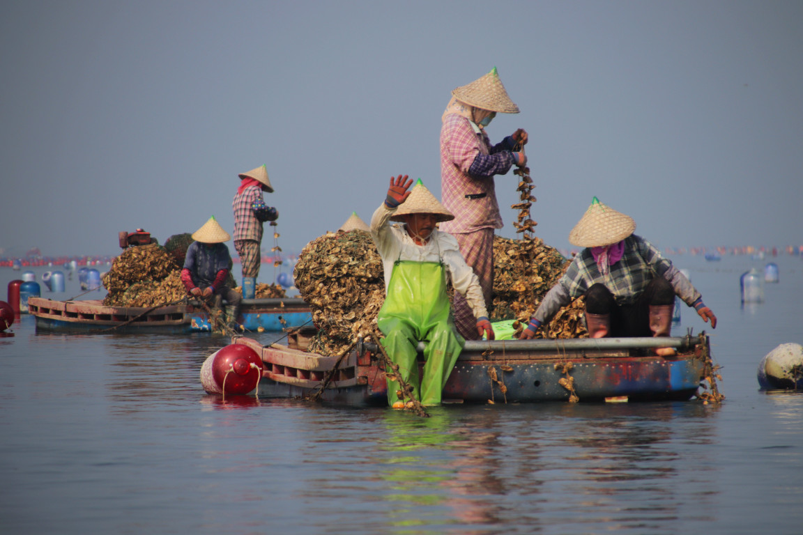 彩虹海上养生蚝