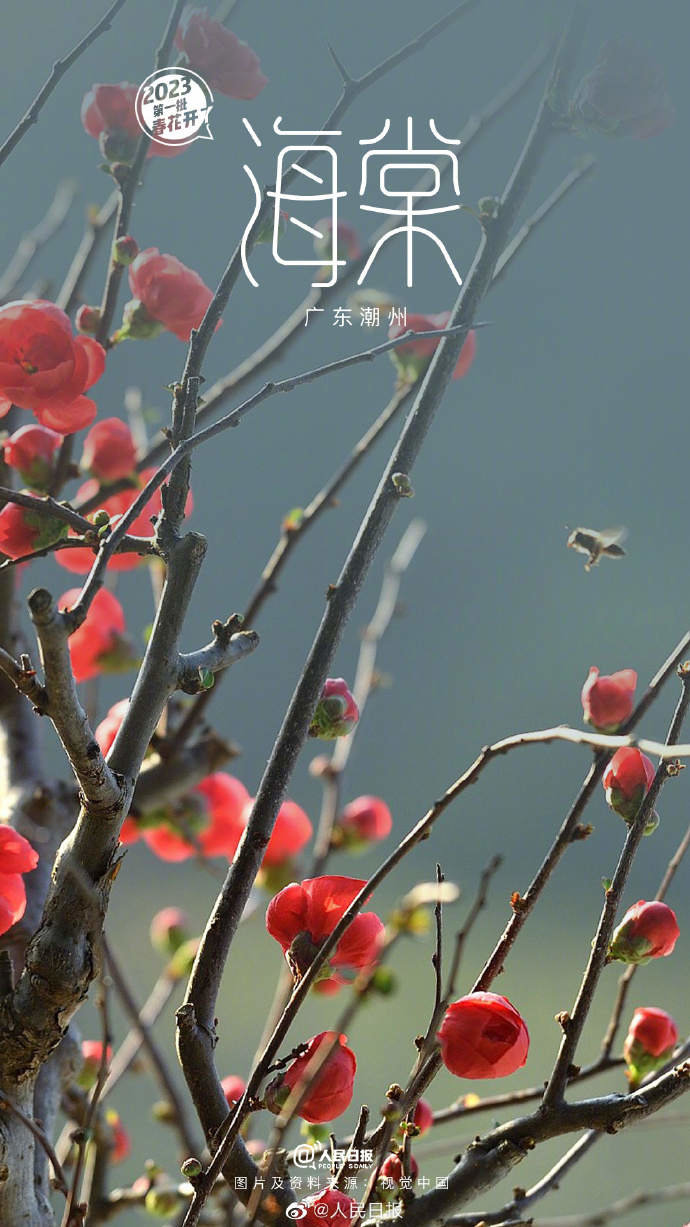 9.jpg?x-oss-process=style/w10