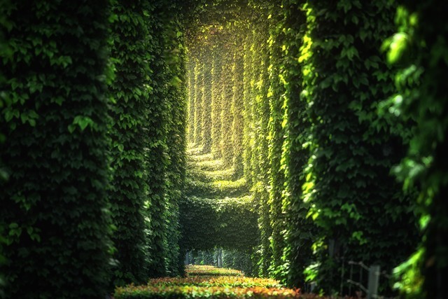 万元搞定15-400mm全焦段 佳能亲民RF镜头推荐