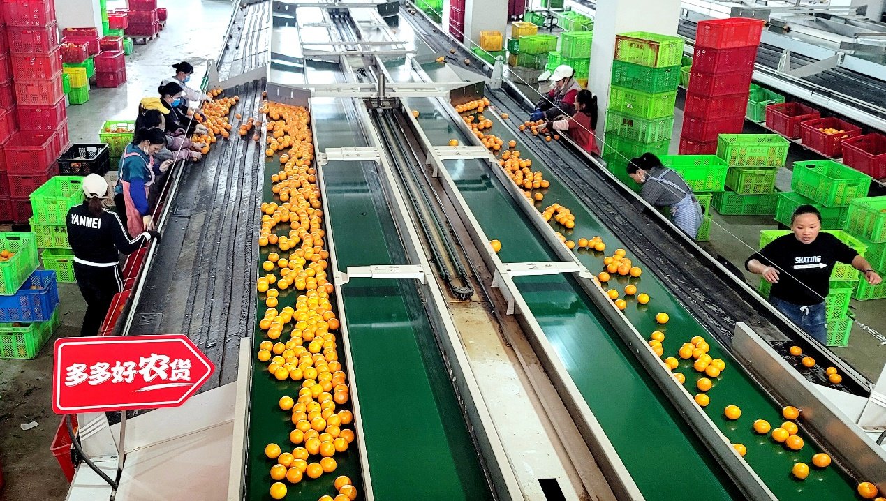 C:\Users\yushuang\AppData\Local\Temp\WeChat Files\2b9870ea0d2e22851eb8f91b2eb8d352_.jpg