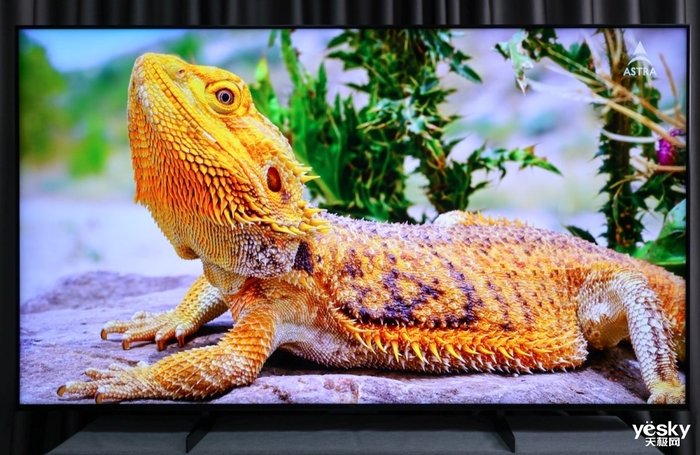 旗舰Mini LED电视守门员 85英寸TCL Q10H评测