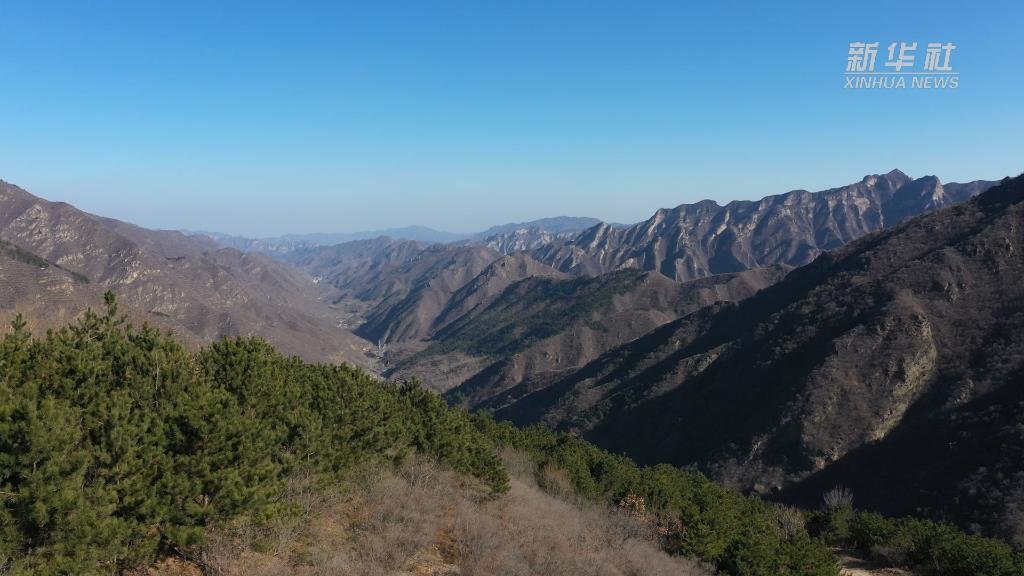 人工造林如何“再野化”?探访北京最大国有林场_凤凰网