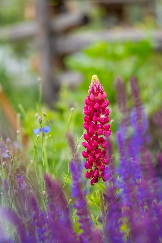 色彩、自然与人文的冲击 尼康Z 7Ⅱ一机三镜行摄大美新疆