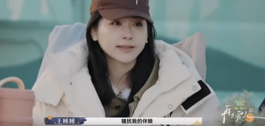 图源:《再见爱人3》