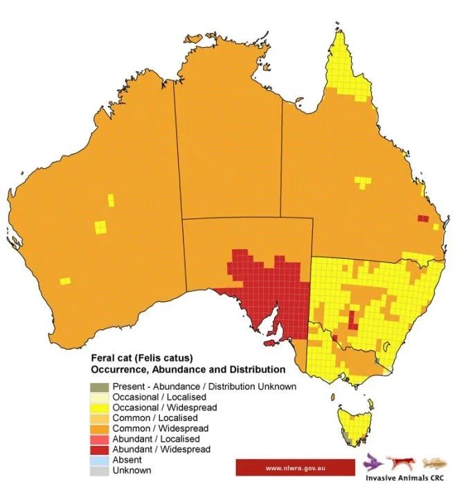 使用MapMaker Interactive比较澳大利亚野猫的种群密度和澳大利亚人类的种群密度。/地图由澳大利亚国家土地和水资源局提供