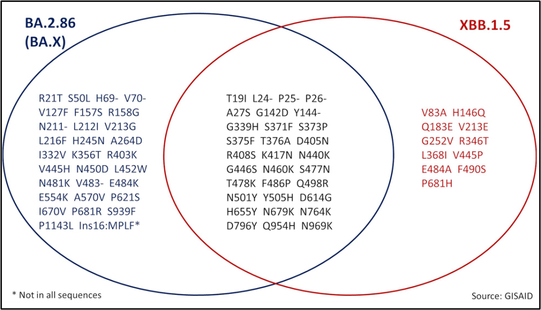 BA.2.86和XBB.1.5相比有36个突变。作者供图