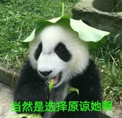 image8.png