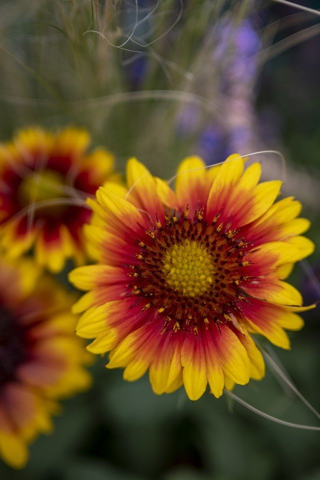 【有料评测】尼克尔Z DX 24mm f/1.7评测:轻量化大光圈定焦镜头