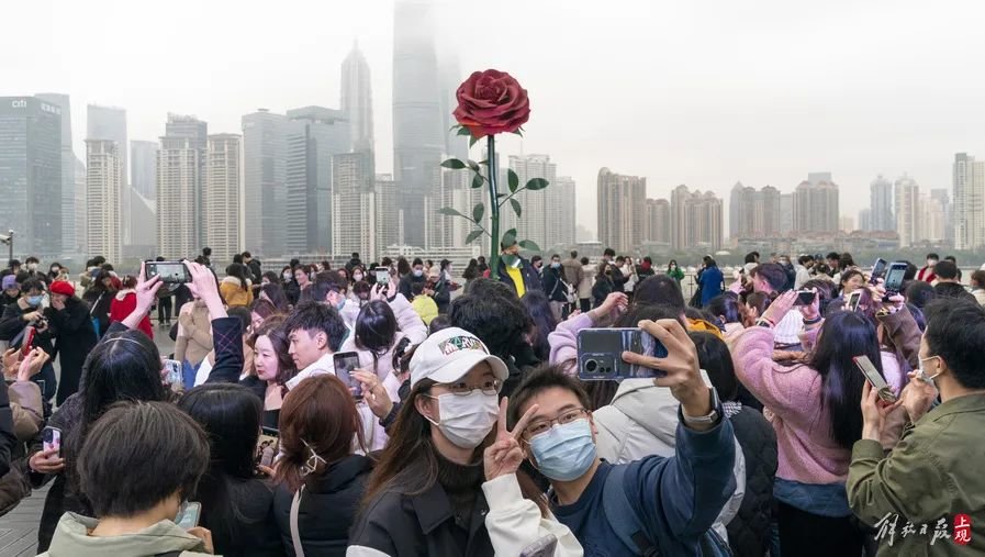 上百人排队打卡上海武康路郁金香 网友:这是“诈骗”!