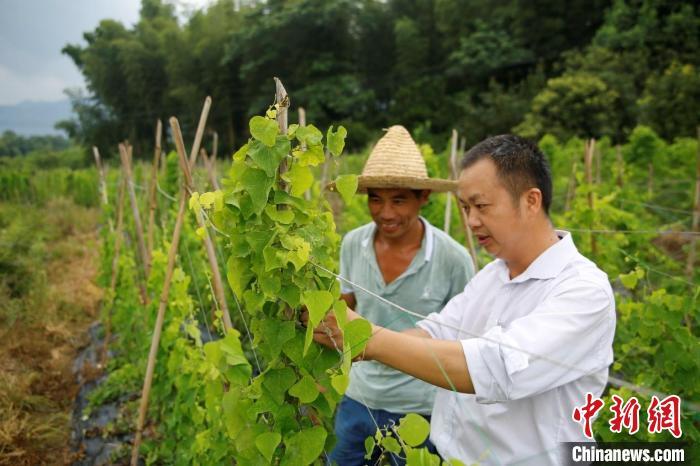 致富经种植_致富种植业_致富种植视频全集