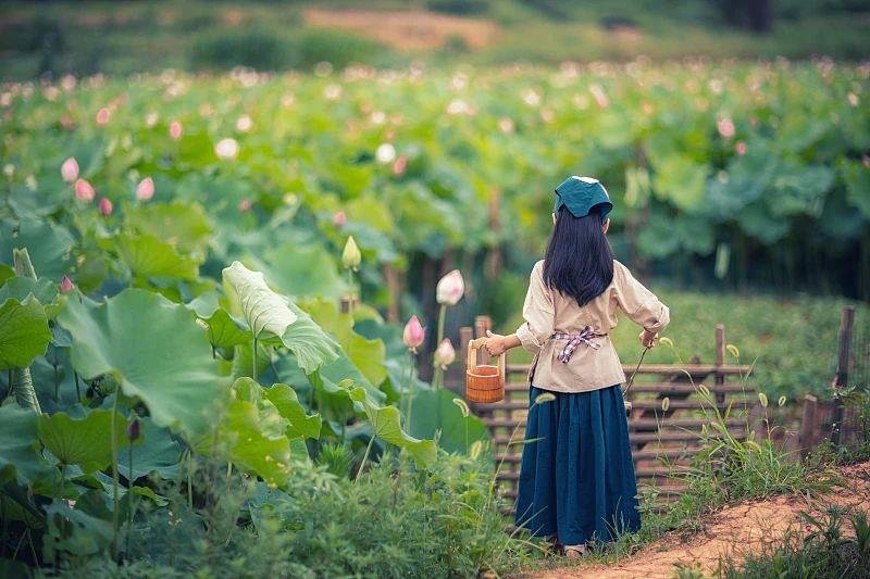 芒种丨“芒”有所获，“种”有所得