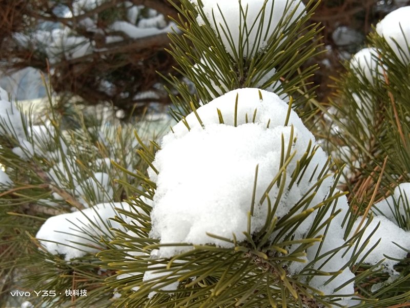 长续航兼顾大内存!vivo Y35评测:解锁千元级新体验