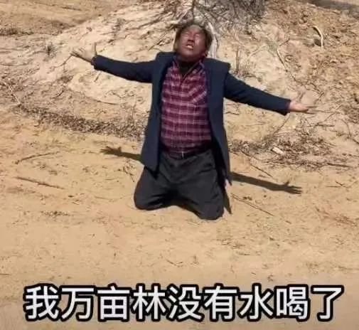 ·灵武市自然资源局专业技术人员指导苗木保护，马家滩镇工作人员对苗木进行浇灌。图源均为“美丽灵武”。