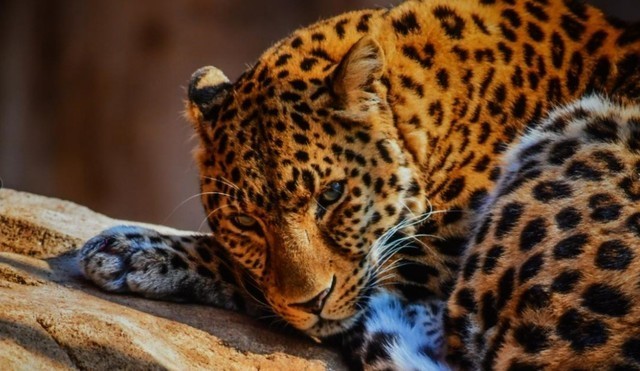 小空间实现大屏 明基JD530短焦投影评测