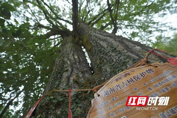 微信图片_20231012155704.marked.jpg