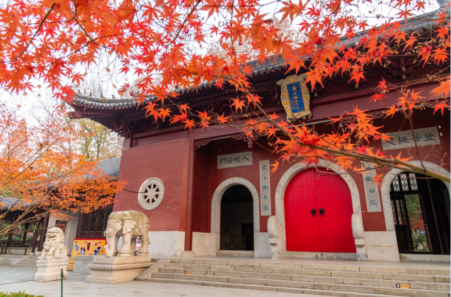 图片|南京栖霞寺的秋天 · 摄图网 ©