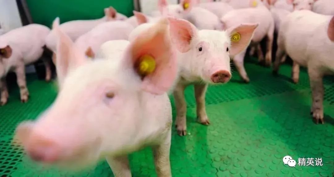 图片来源自网络