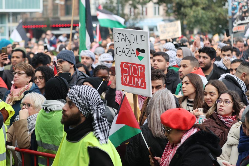 11月11日，众多巴勒斯坦支持者在比利时布鲁塞尔集会，呼吁尽快实现加沙停火。新华社记者 赵丁喆 摄