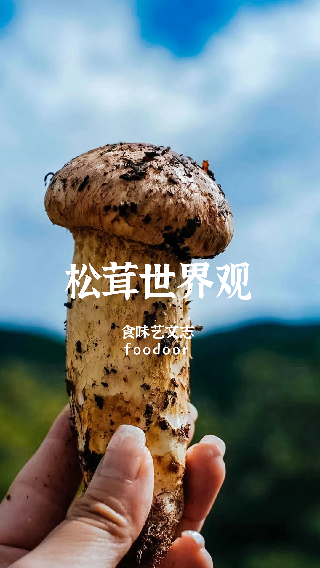 香格里拉，松茸贩子的救命稻草