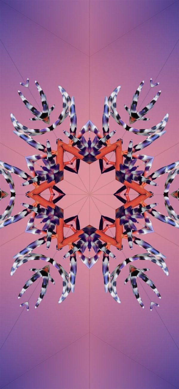 提前感受iPhone 15!iOS 17全新壁纸免费下载