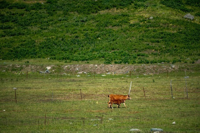 色彩、自然与人文的冲击 尼康Z 7Ⅱ一机三镜行摄大美新疆
