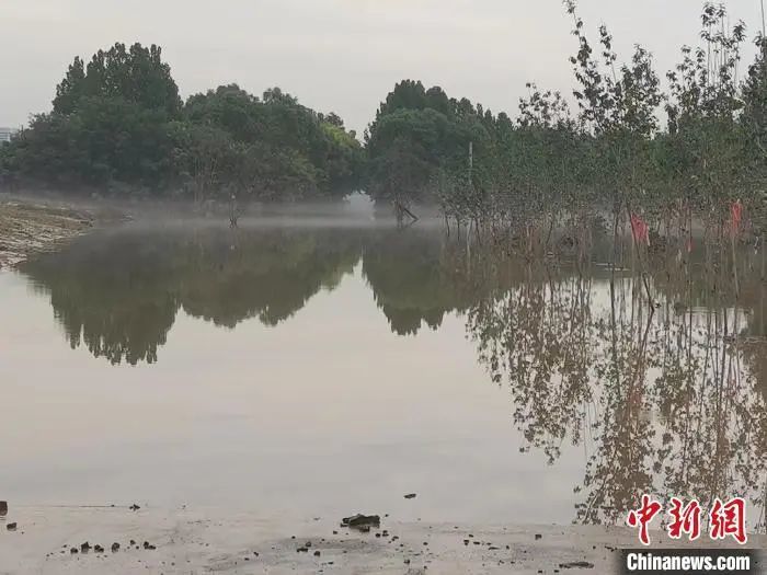8月5日，前往中图网仓储中心的一条道路依然有大量积水，行人无法通行。中新社记者 陈林 摄