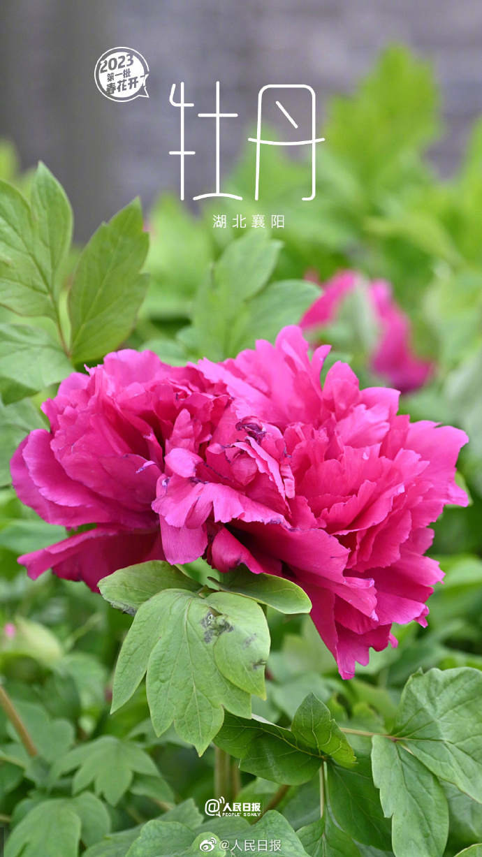 4.jpg?x-oss-process=style/w10