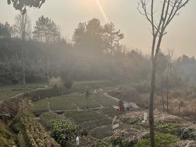 汉子山村。 图/九派新闻记者 覃钰钰
